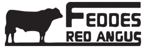 Feddes Red Angus Logo