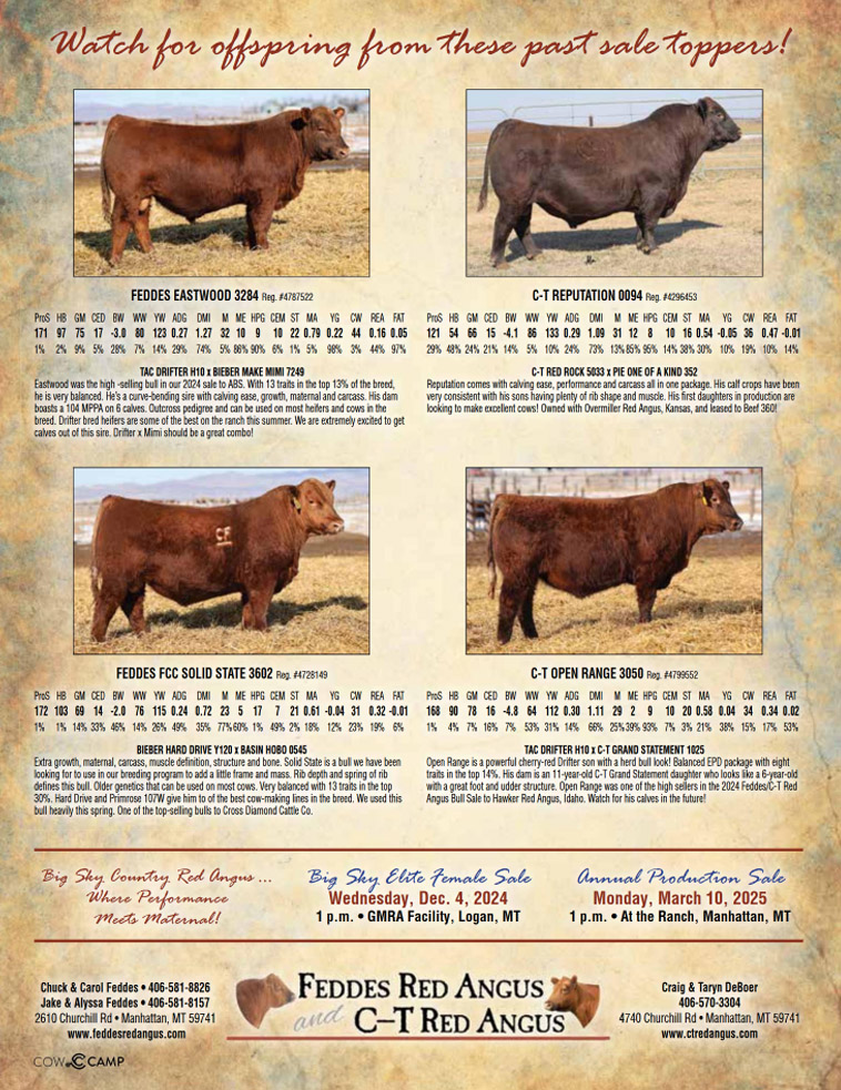 Feddes Red Angus Magazine Ad
